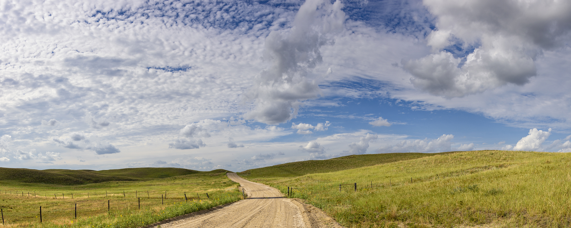 Early Evening Shadows