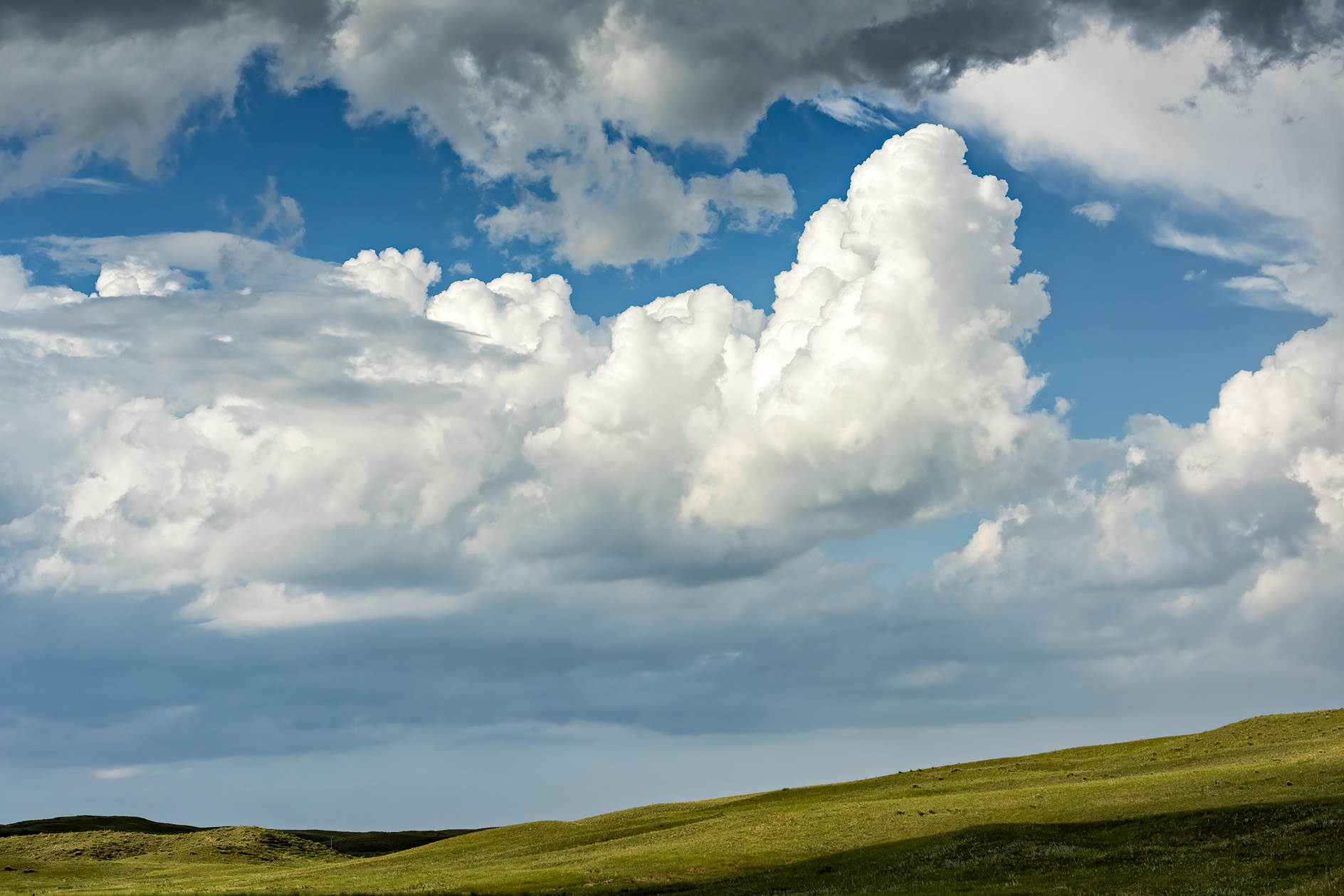 Early Evening Shadows II