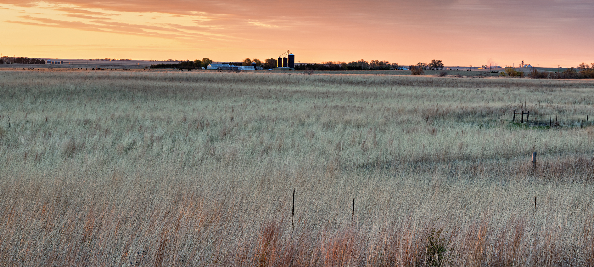 Early Morning Pasture