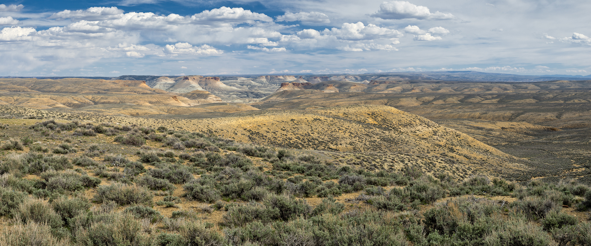 Echoes in the Canyon
