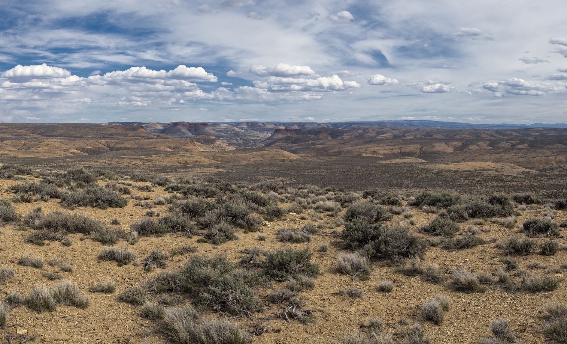 Echoes in the Canyon II