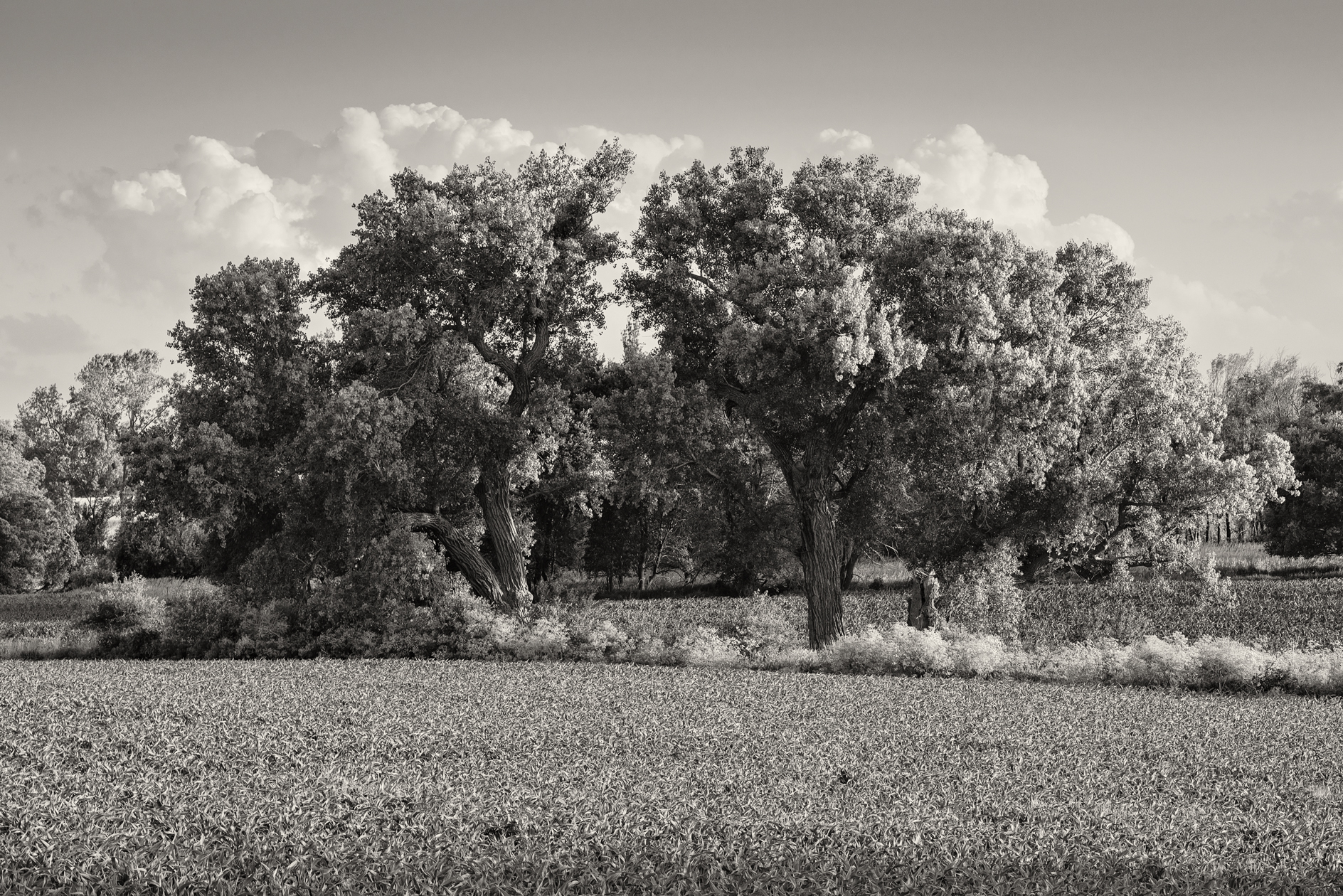 Echoes on the Prairie