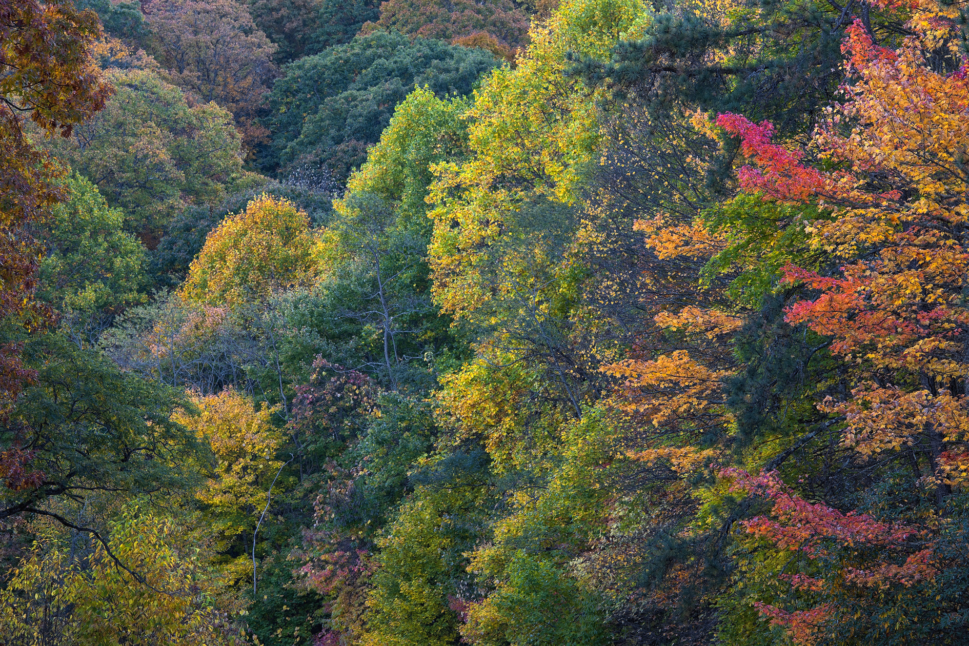 Edging Out the Competition