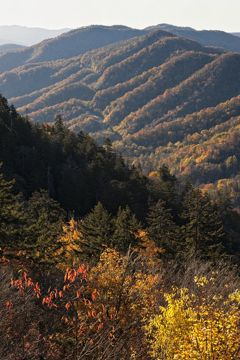 Elevated Temperature