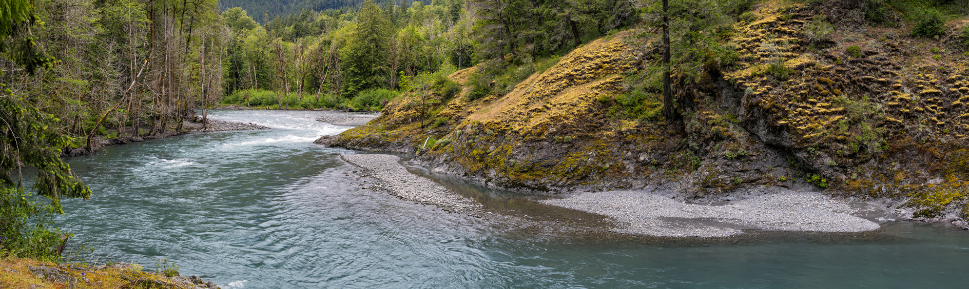 Elwah River Afternoon