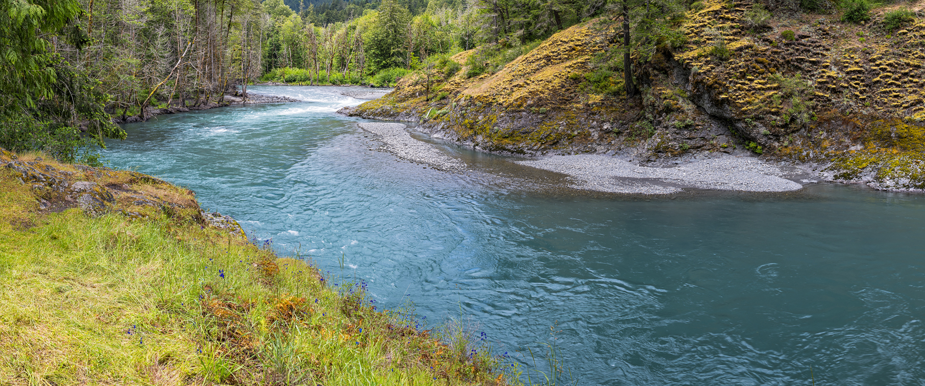 Elwah River Afternoon II