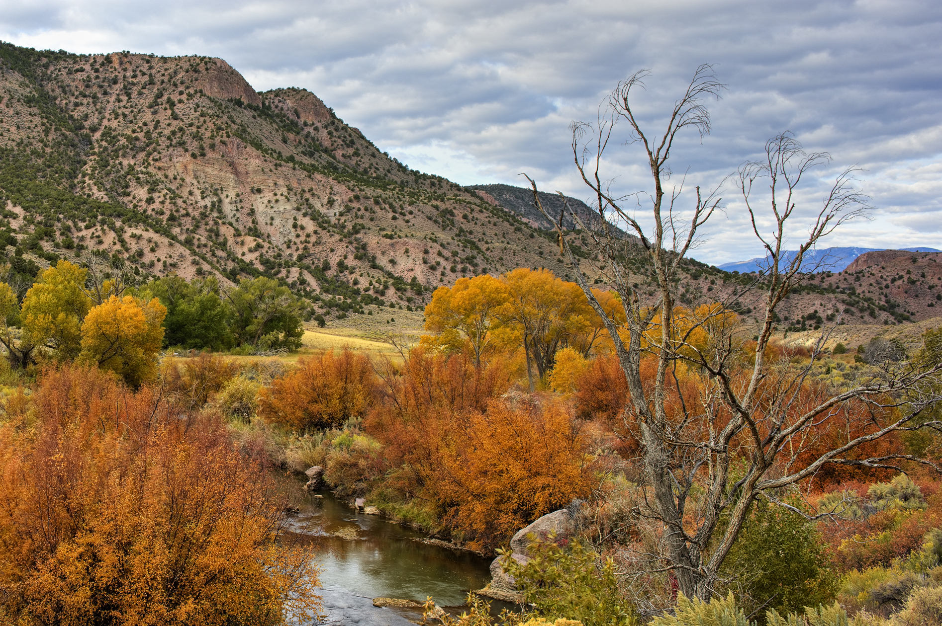 Embellishing the Story