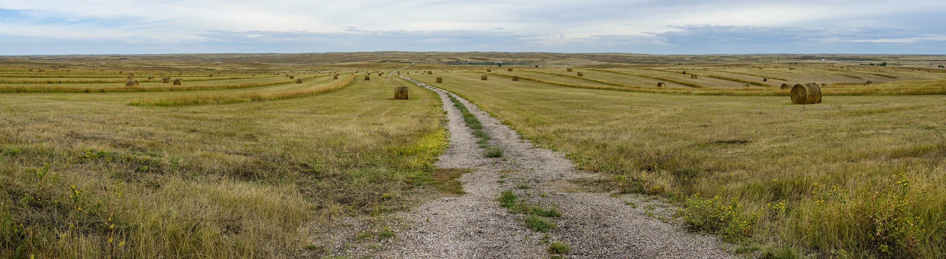Endless Supply of Rolls
