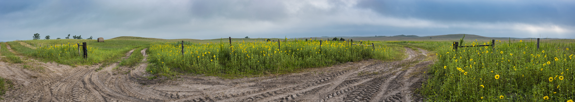 Entering a Gated Community II