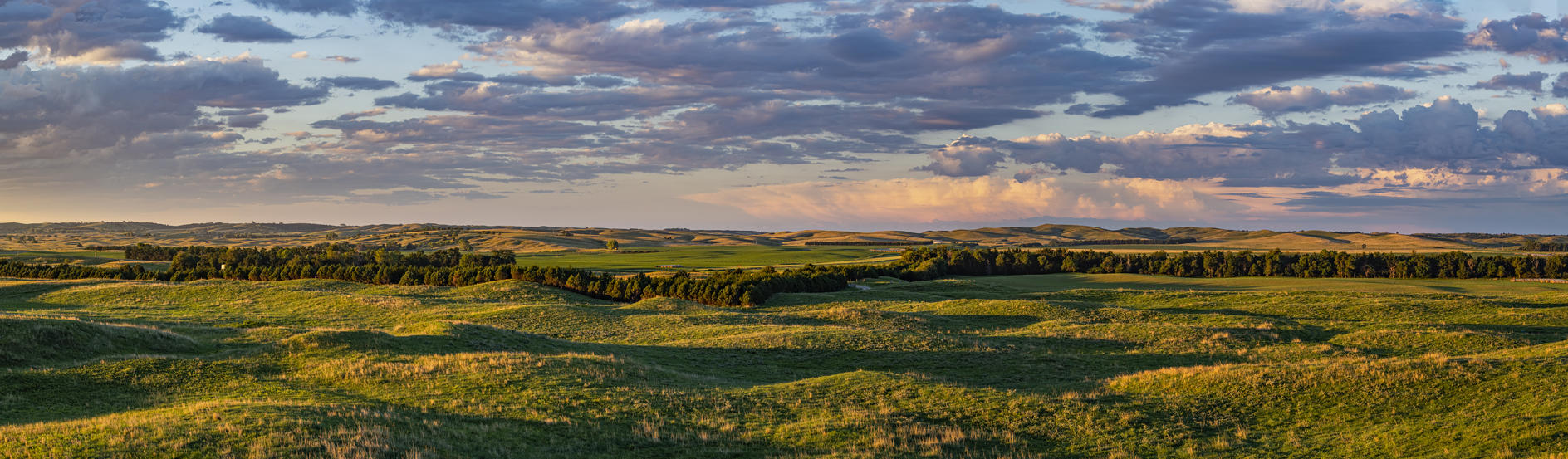 Eureka Valley Morning