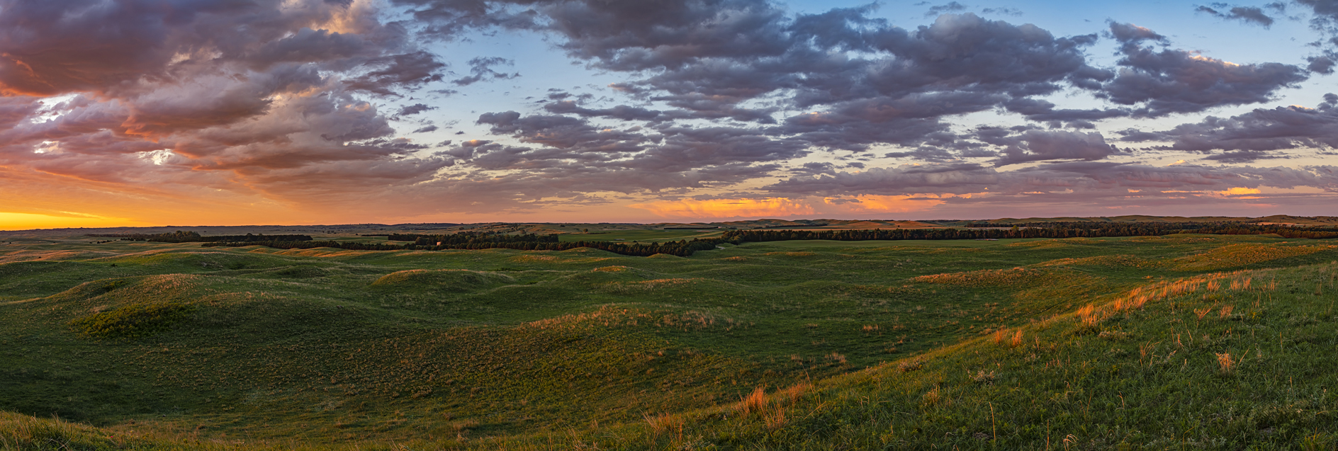 Eureka Valley Morning II