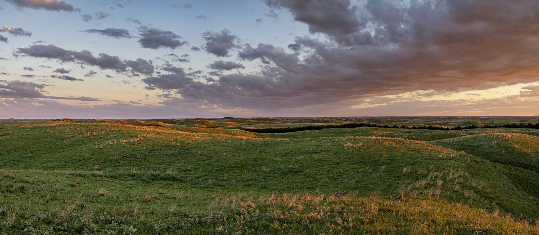 Eureka Valley Morning III