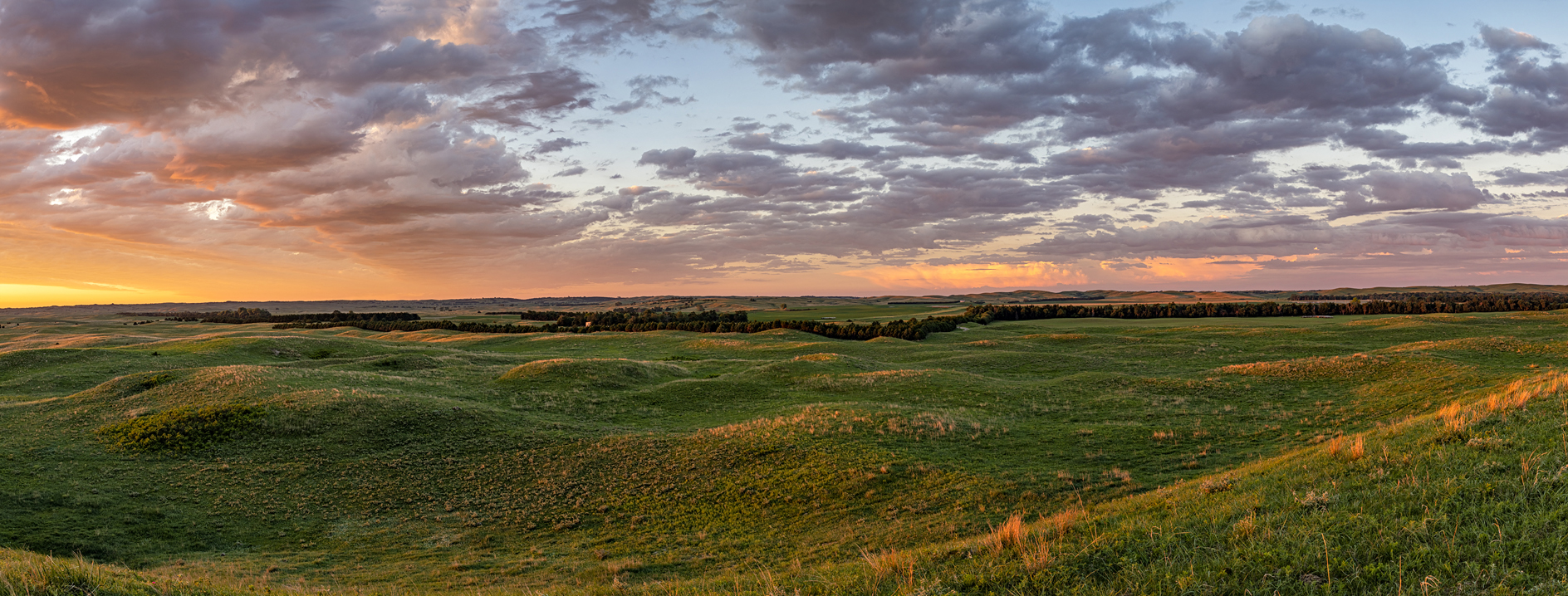 Eureka Valley Morning IV