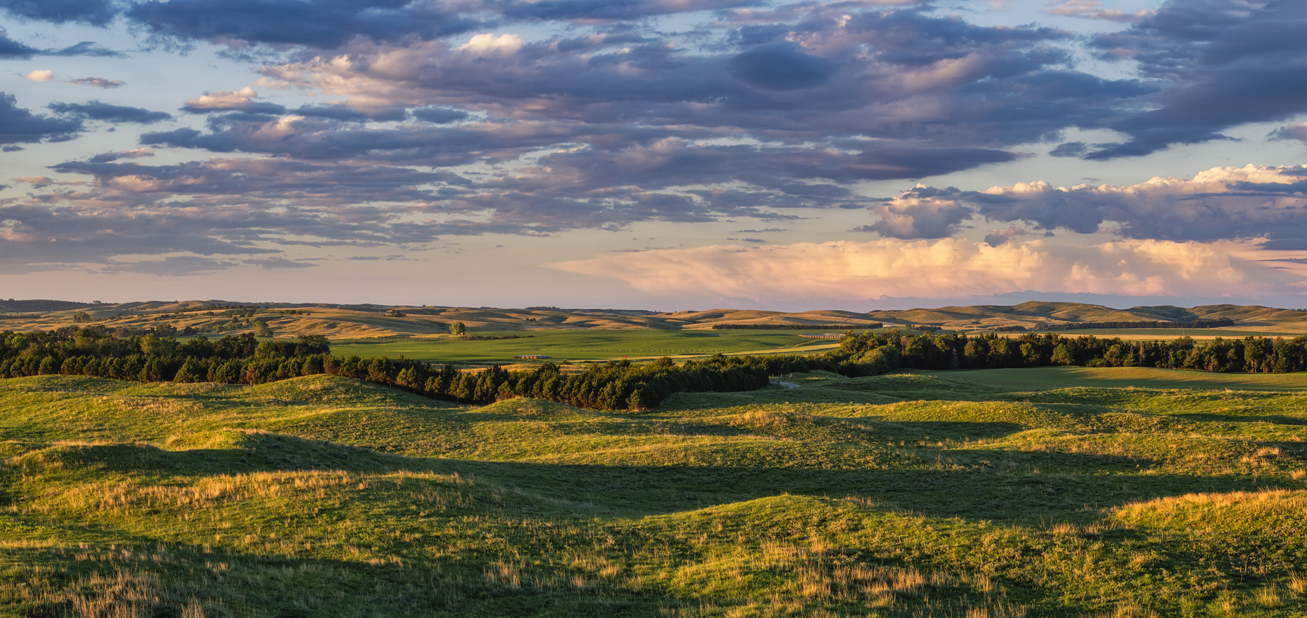 Eureka Valley Morning V