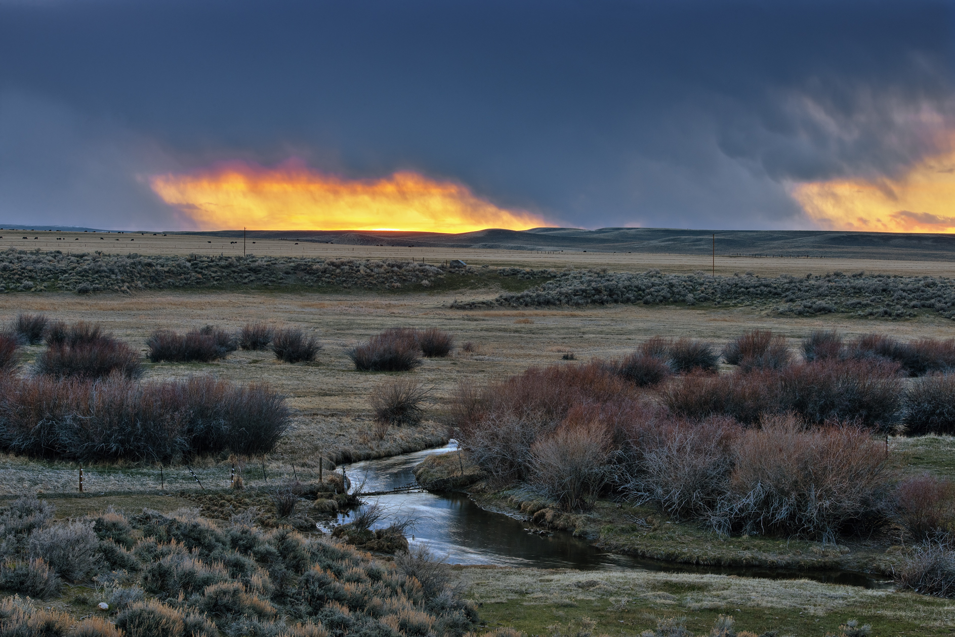 Evening Along Spring Creek