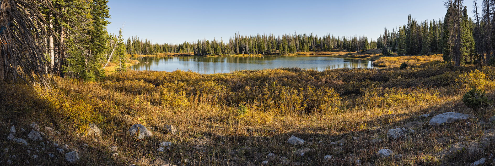 Evening at Silver Lake