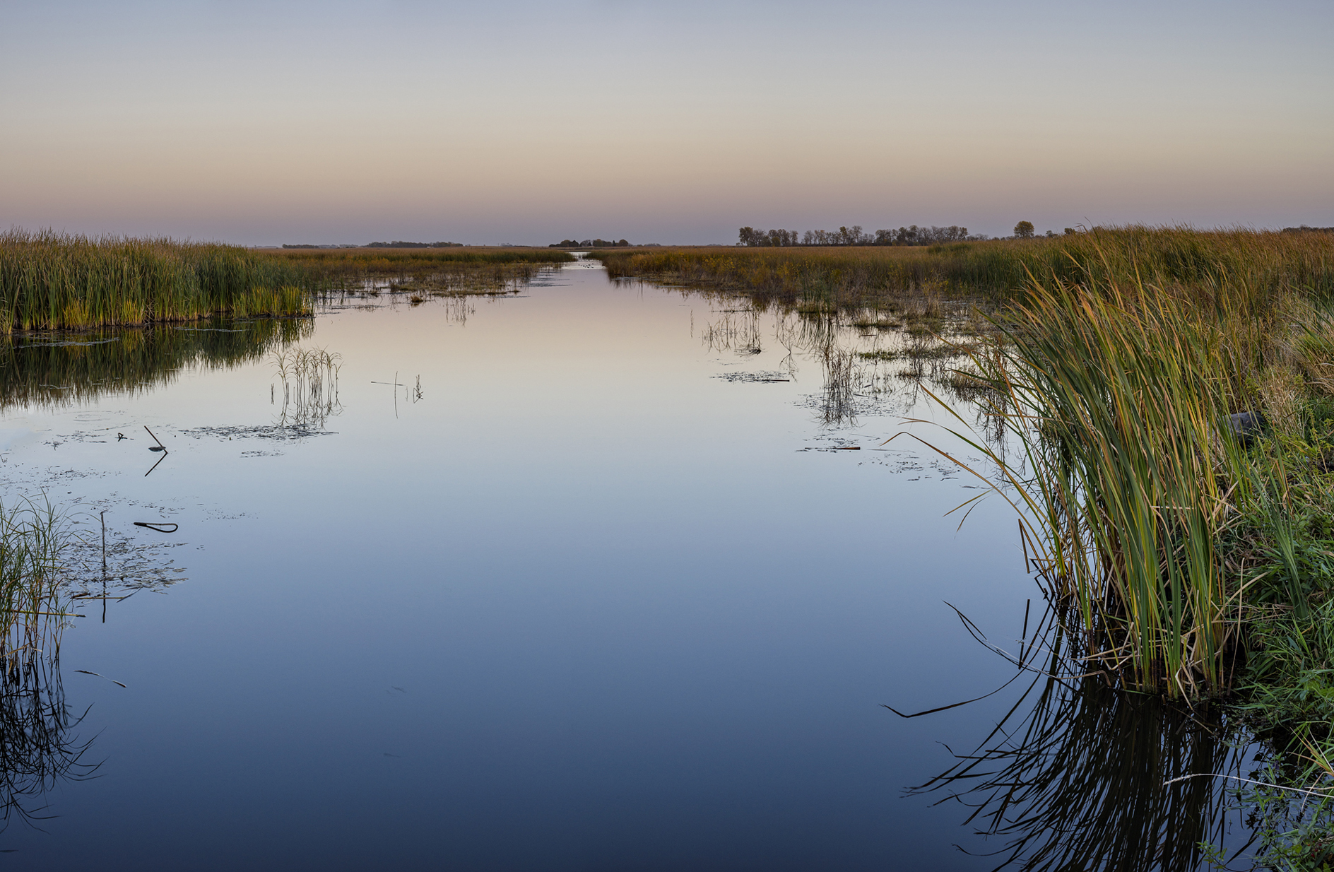 Evening at Smiths Slough