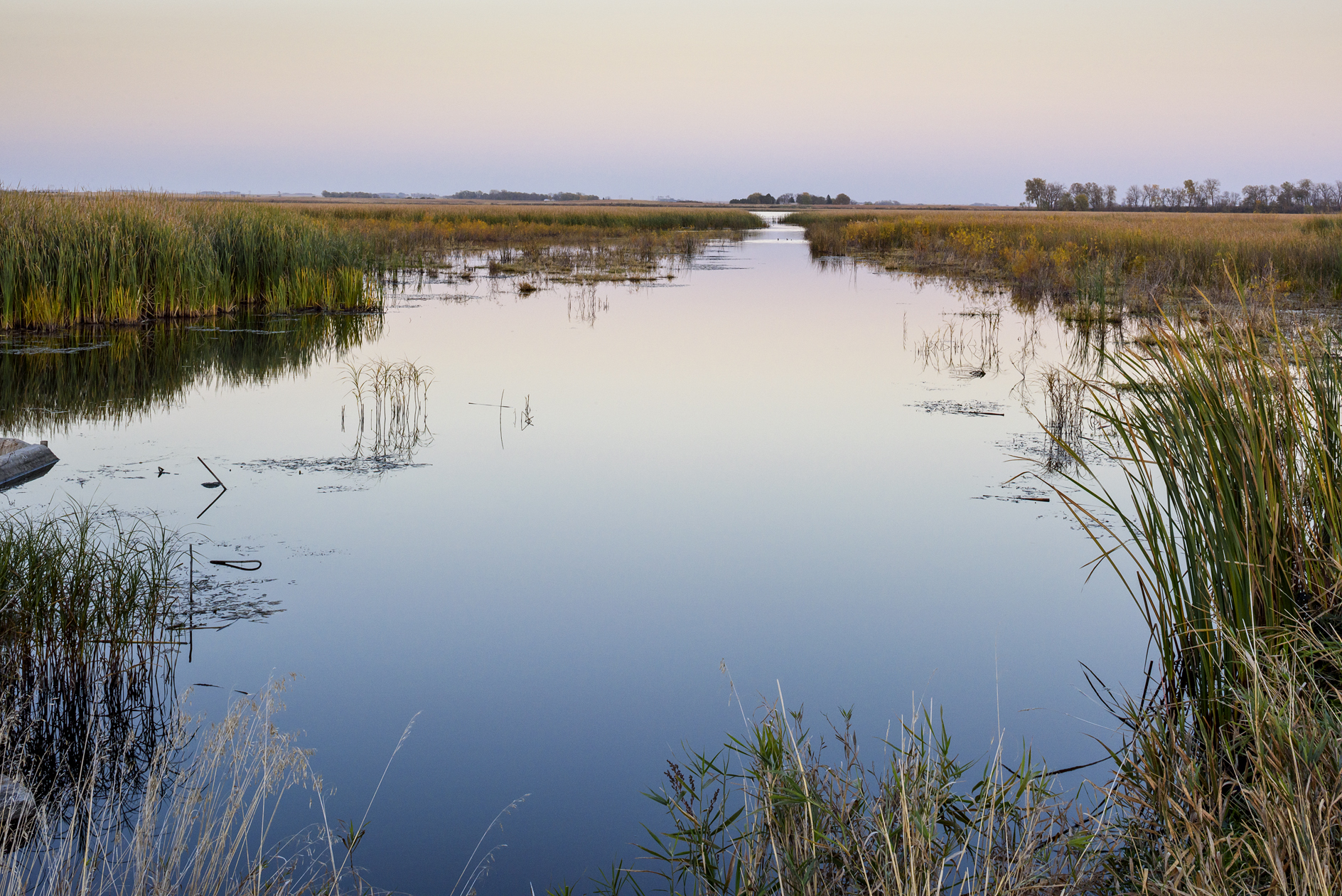 Evening at Smiths Slough II