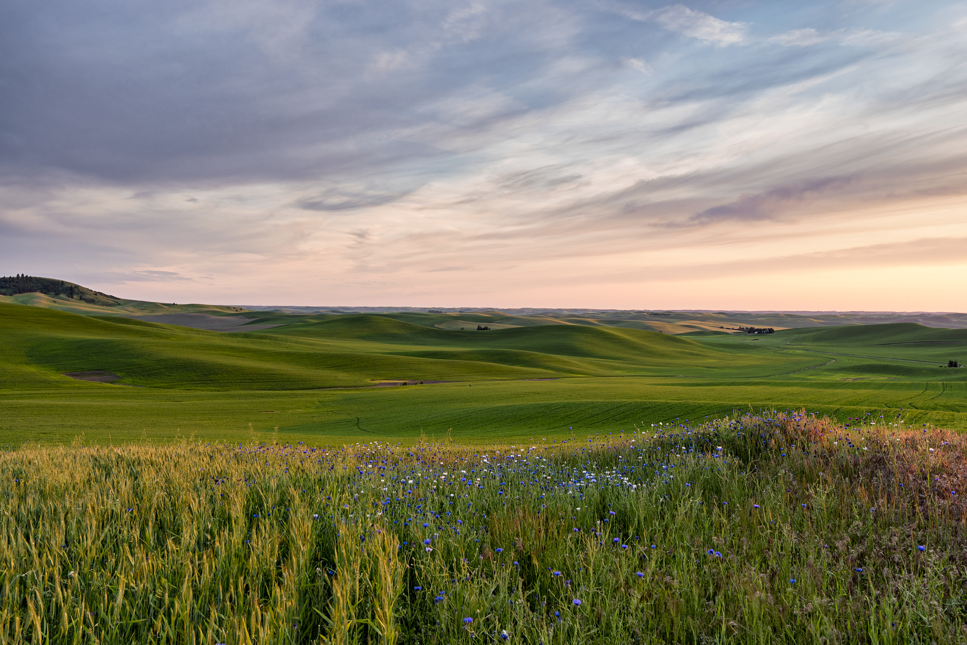 Evening Below Kamiak Butte