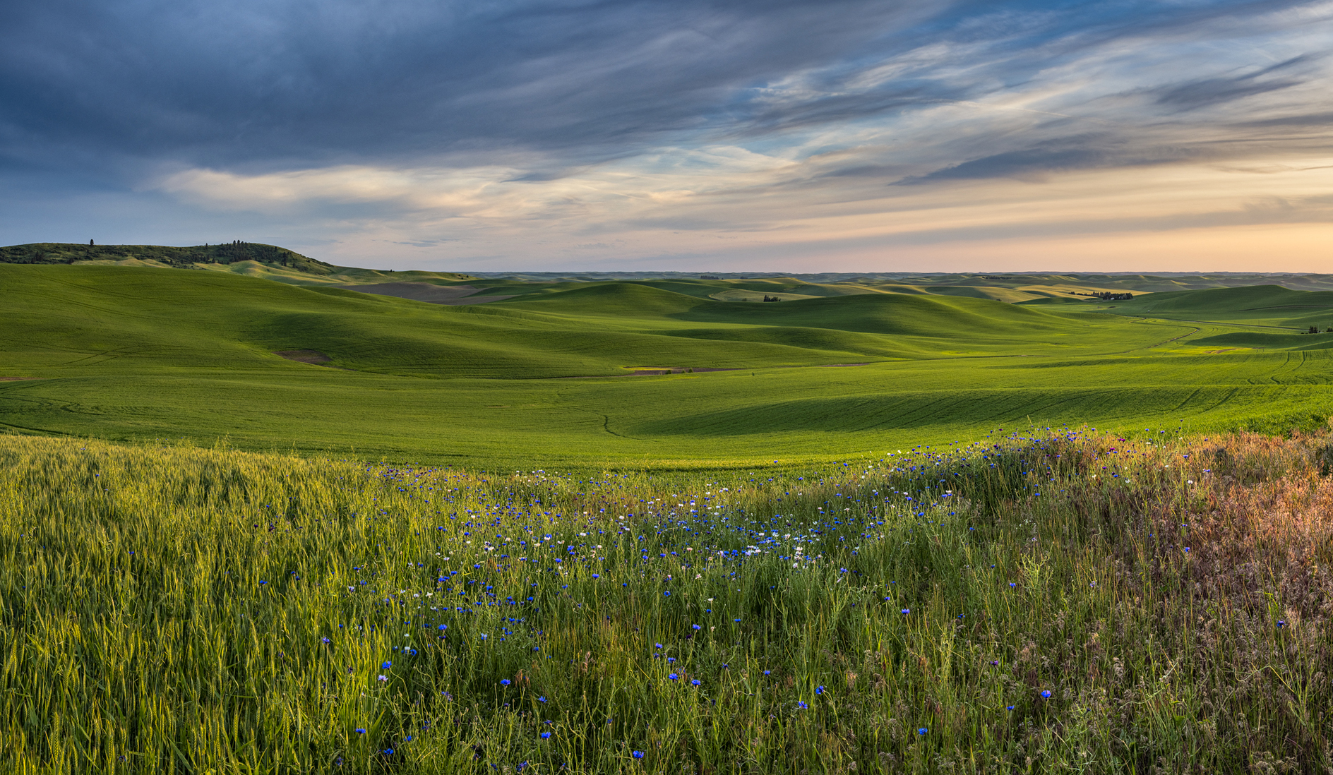 Evening Blue Notes III