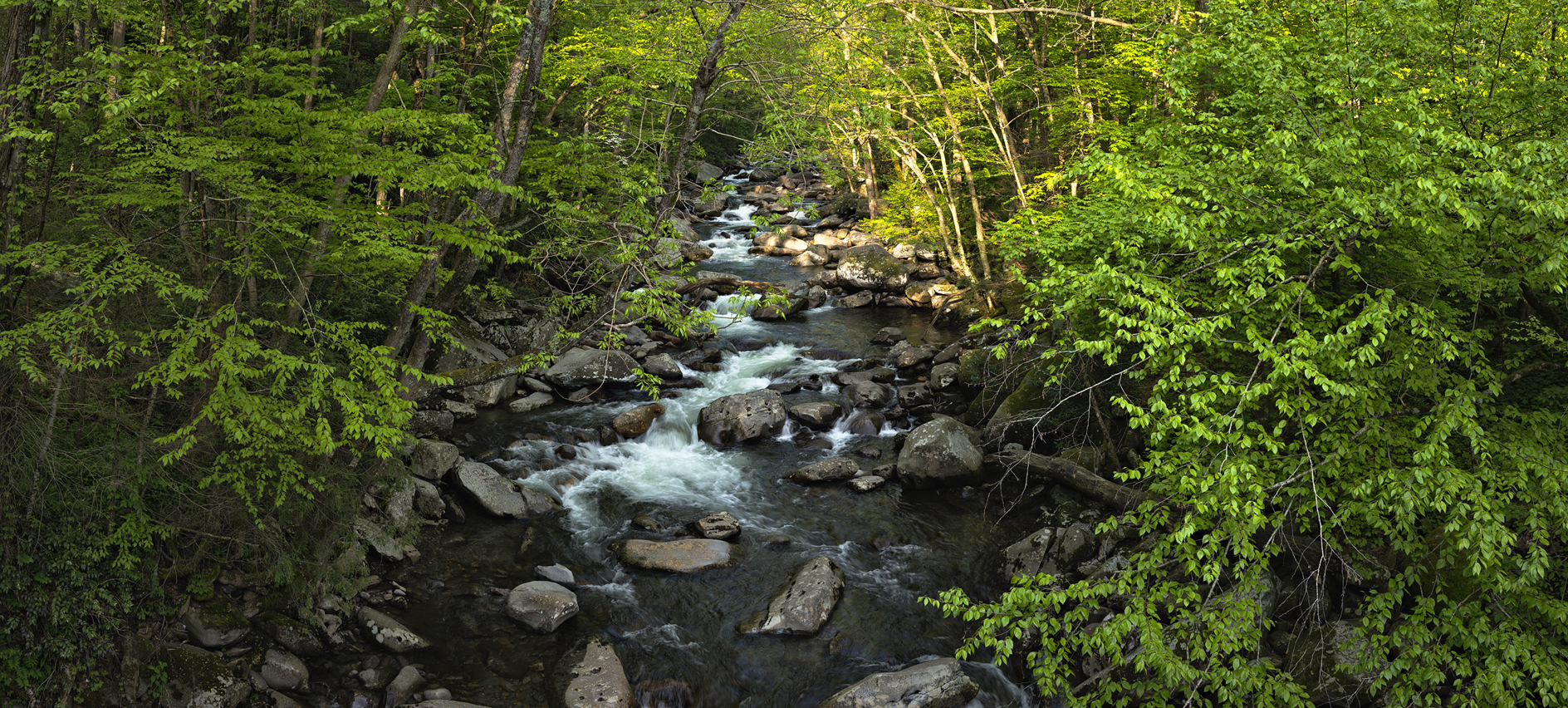 Evening Explorations