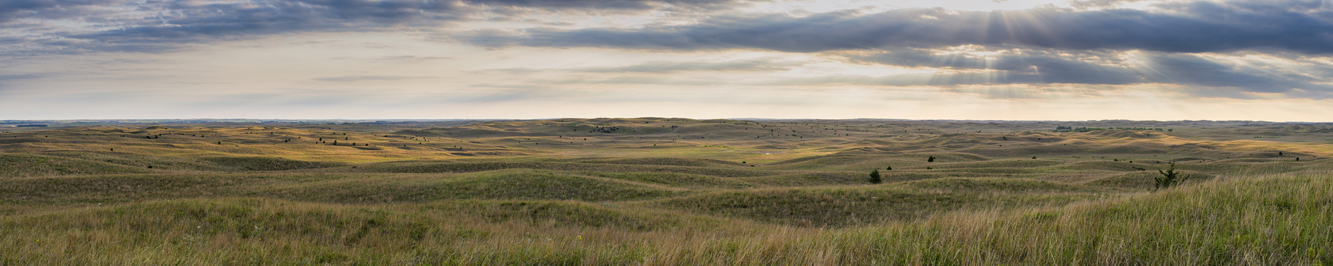 Evening on the Prairie