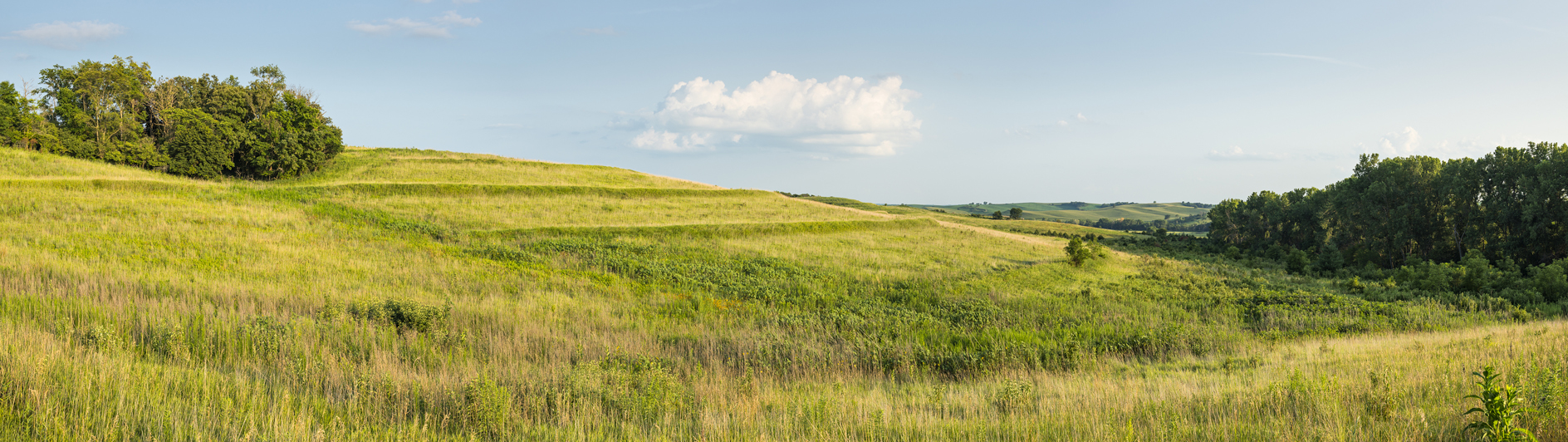 Evening on the Terrace II