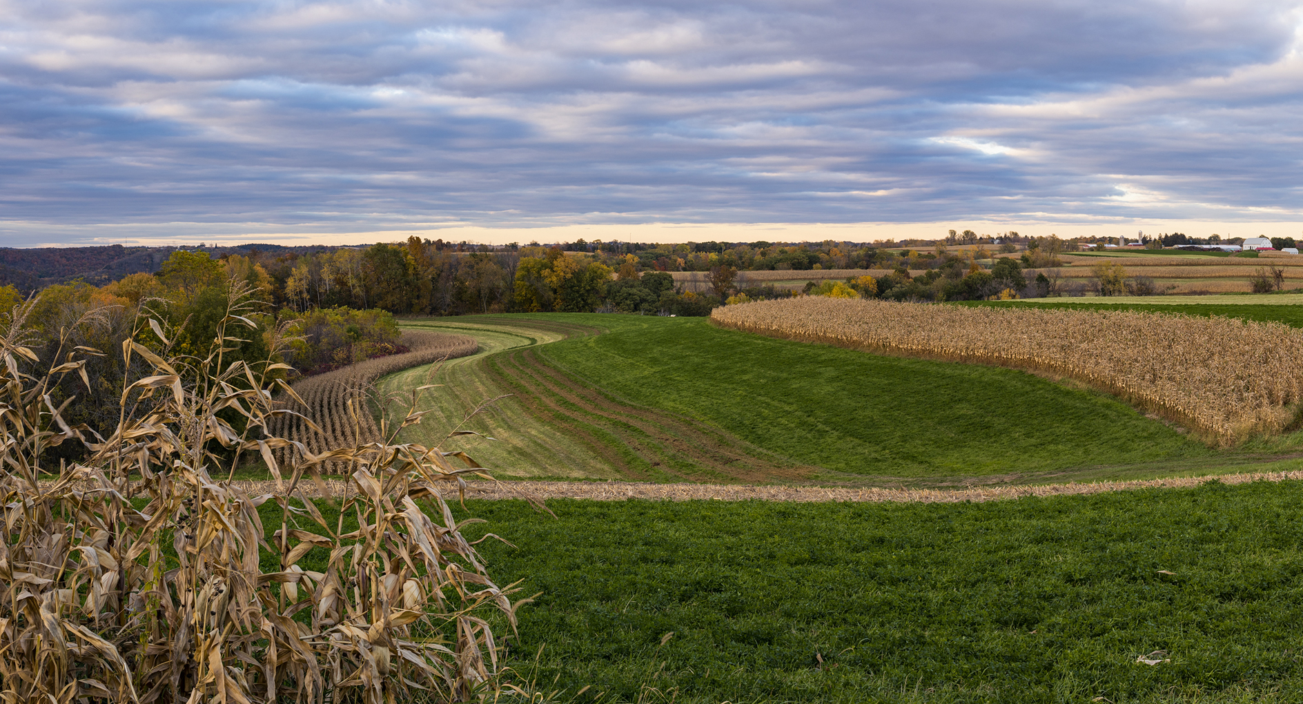 Evening on the Terrace III