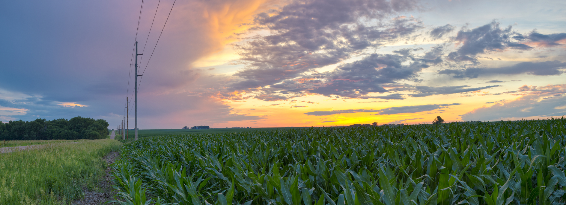 Evening Transformation