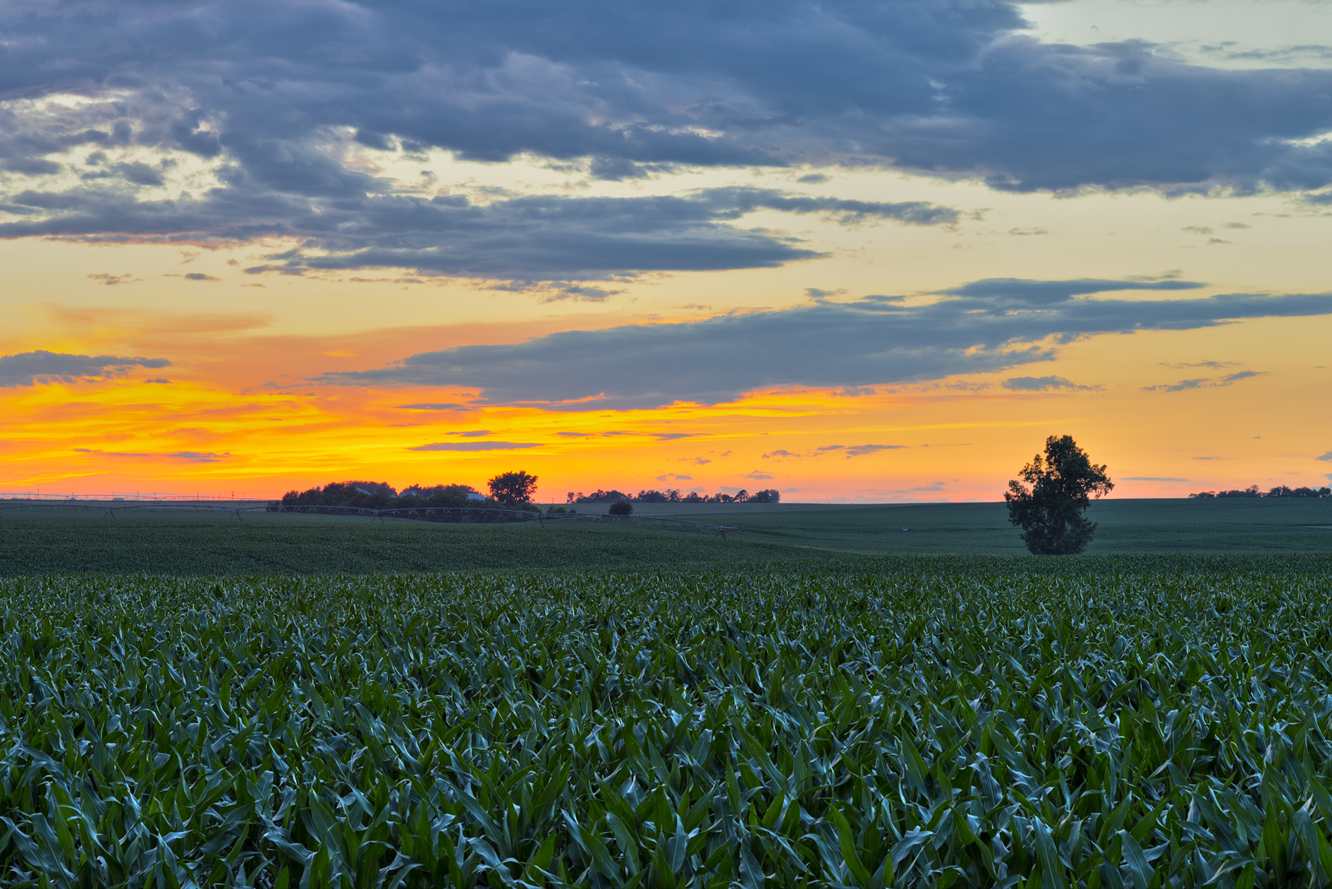 Evening Transformation II