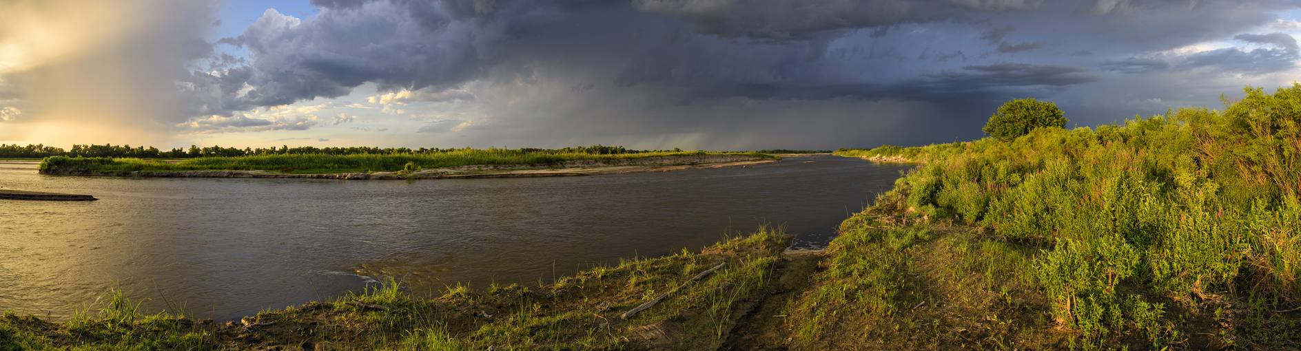 Evenings at the Bank