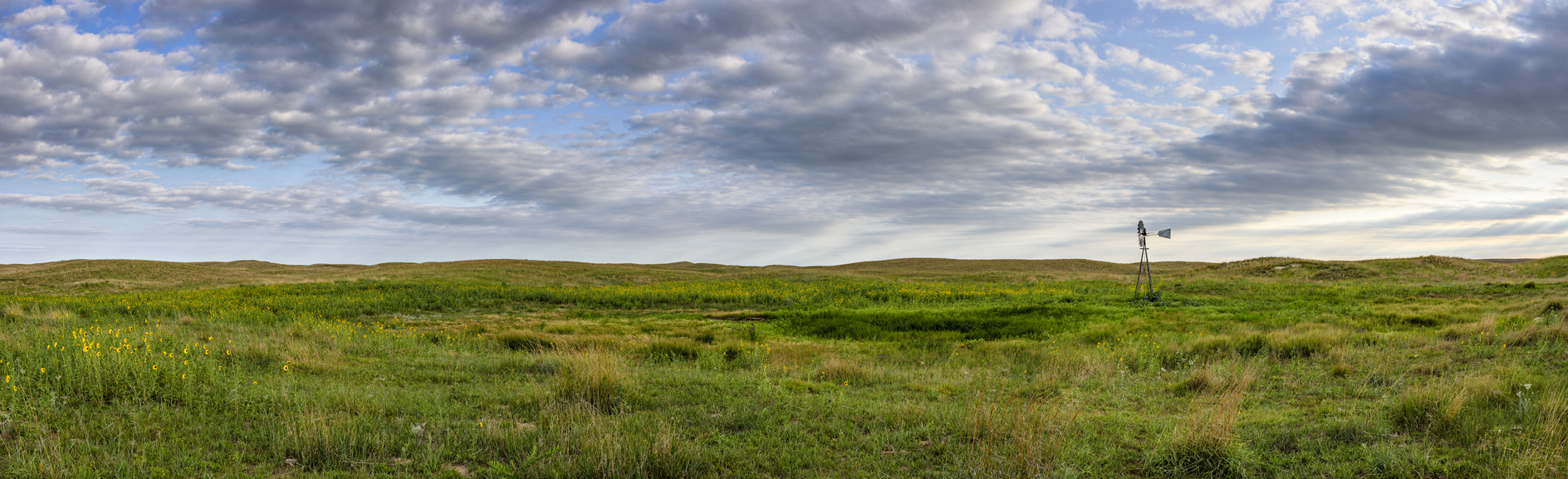 Evenings at the Milldale