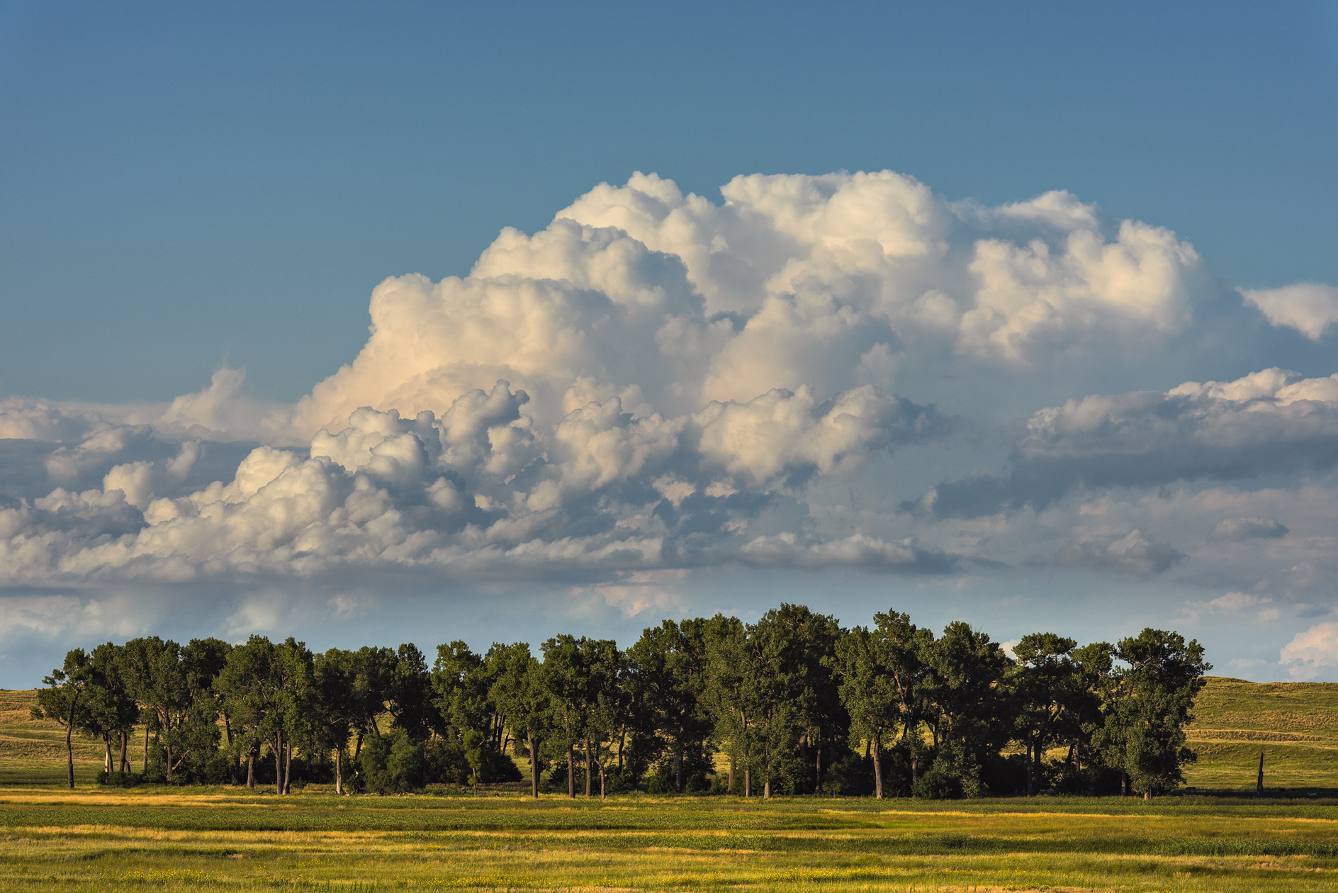 Evenings on the Prairie II