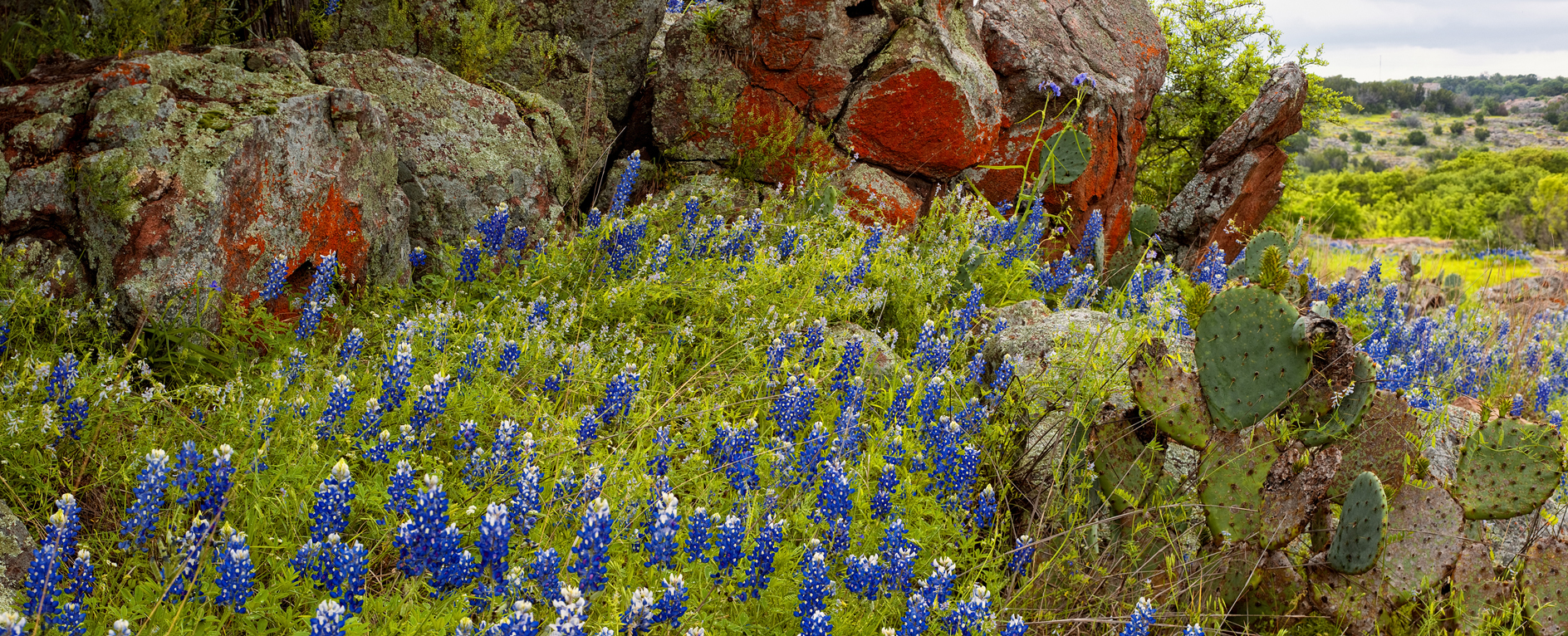 Fading into the Hills