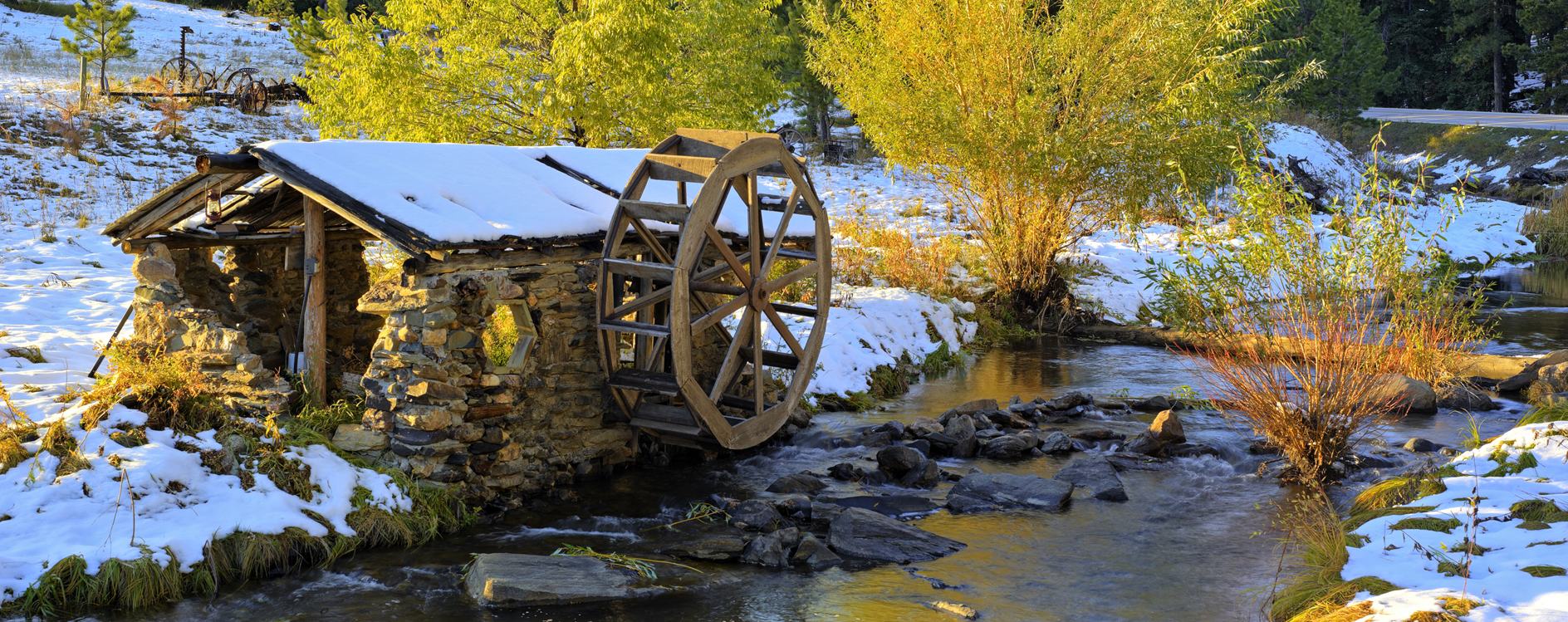 Fallen by the Wayside