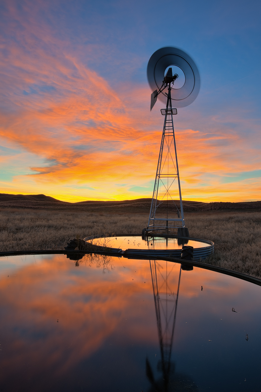 Favorite Watering Hole