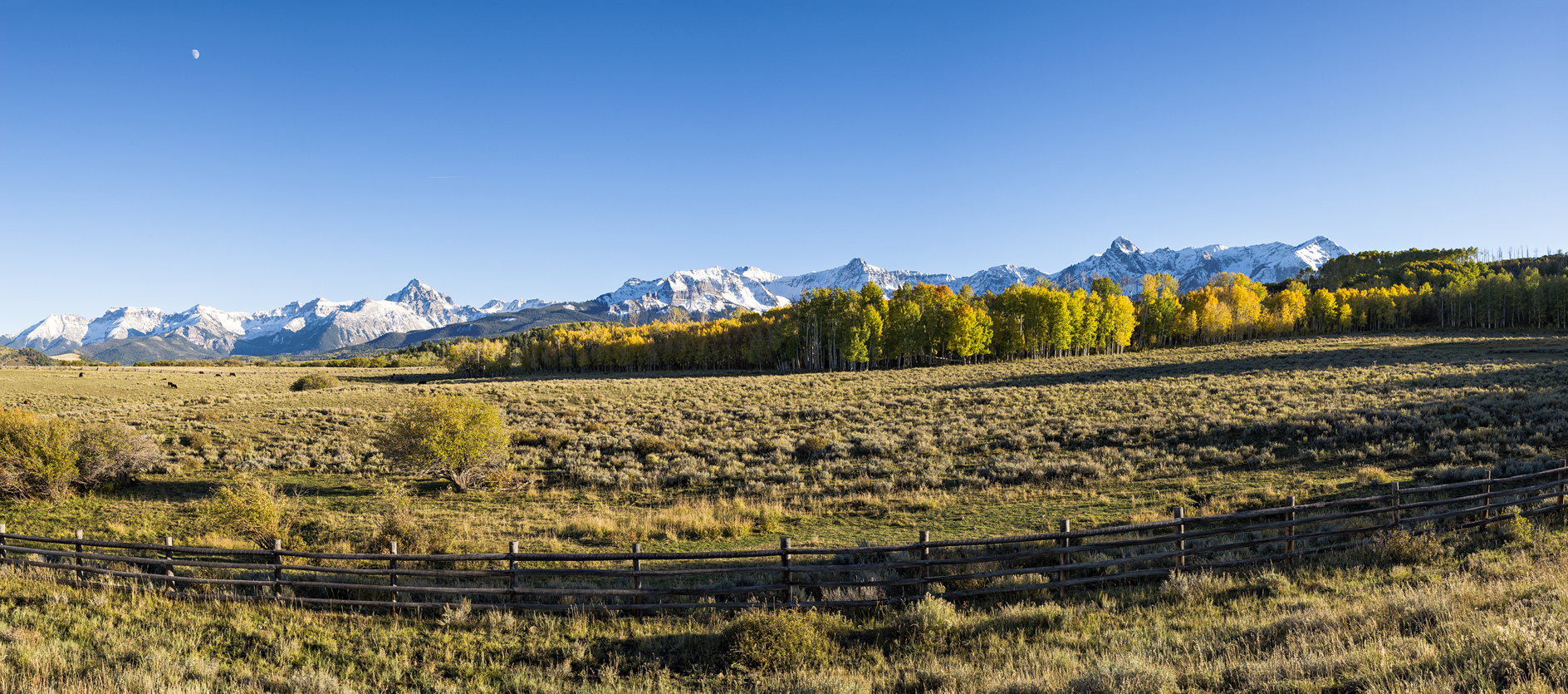 Fencing the Diamonds II