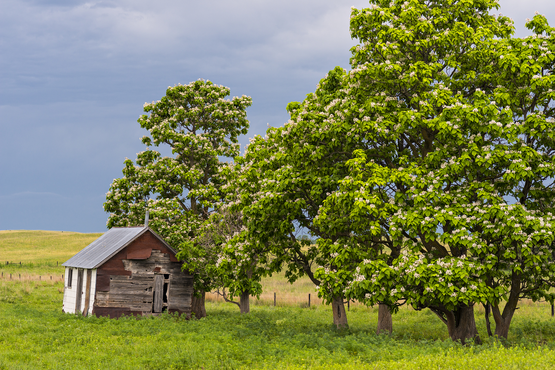 First House on the Prairie