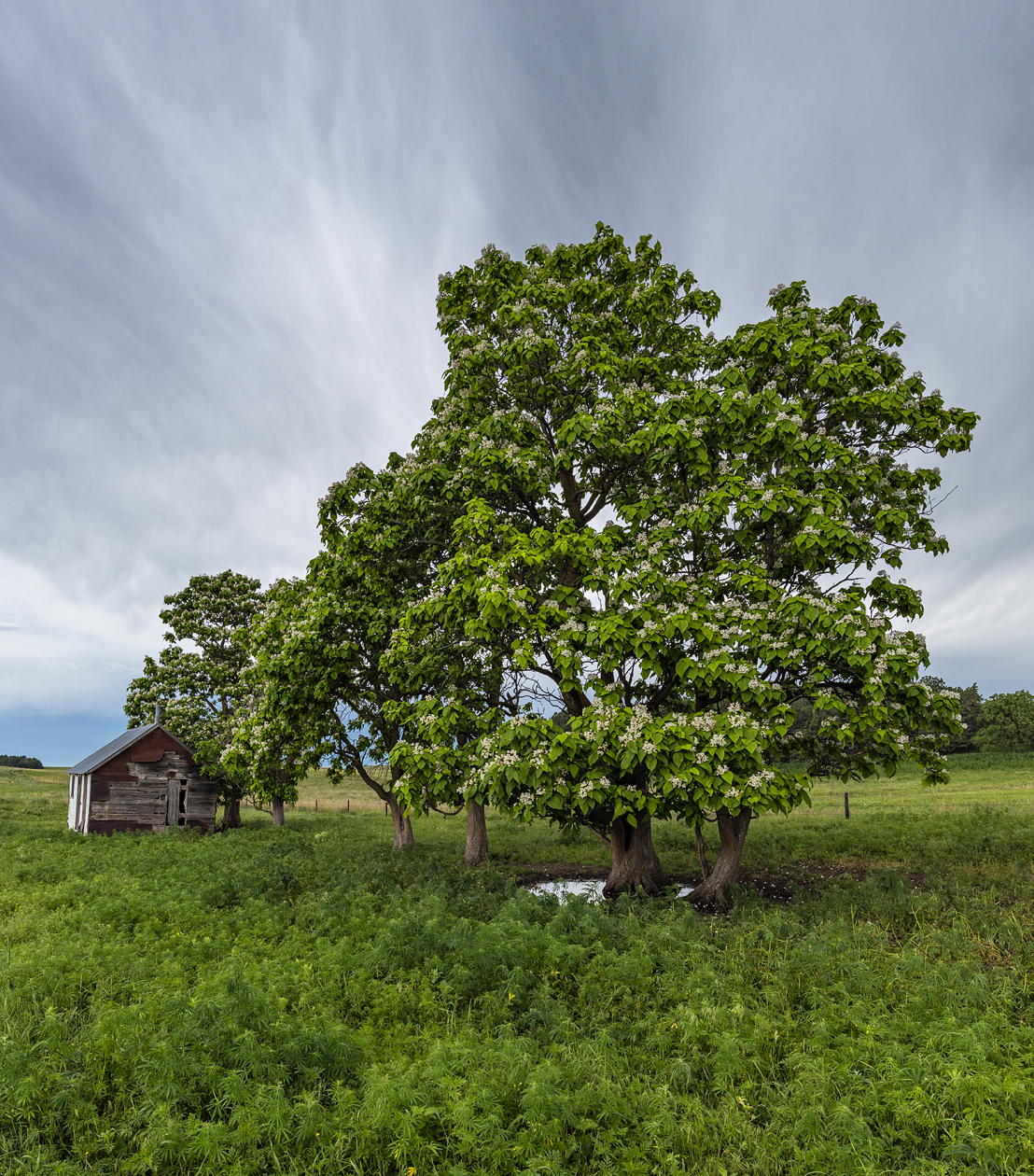 First House on the Prairie II