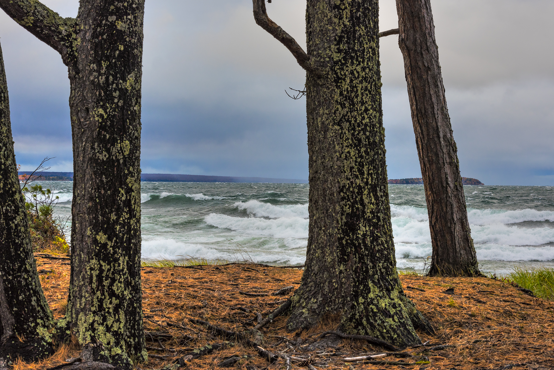 First Line of Defence