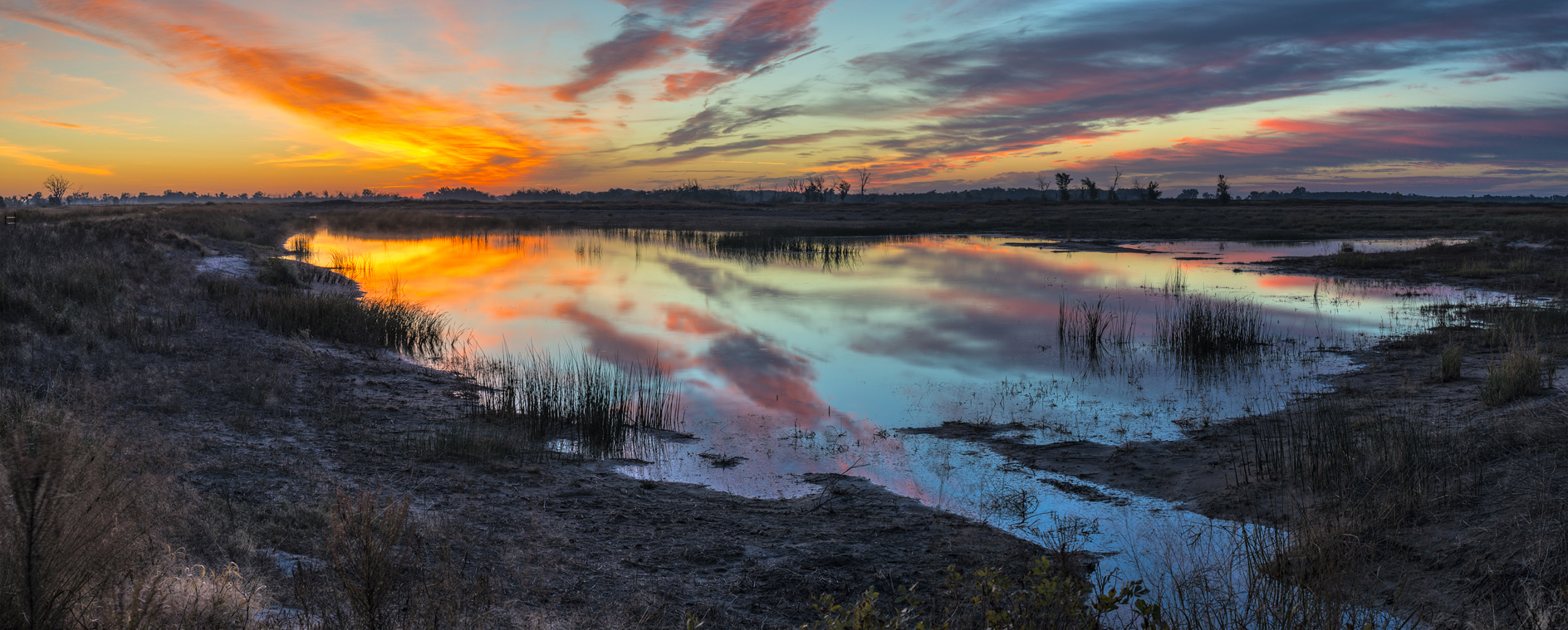 First Stop of the Day