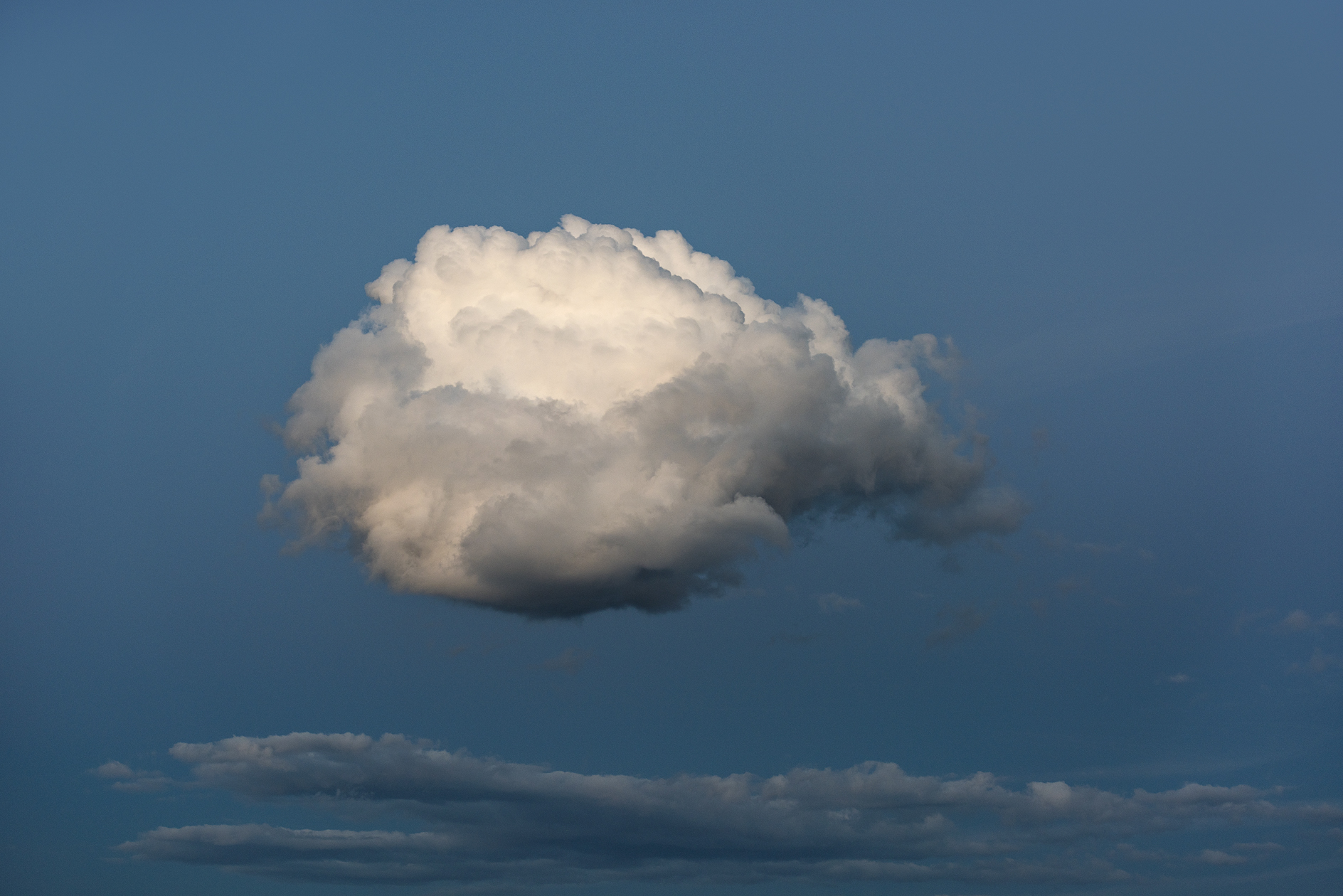 Flight of the Tadpole