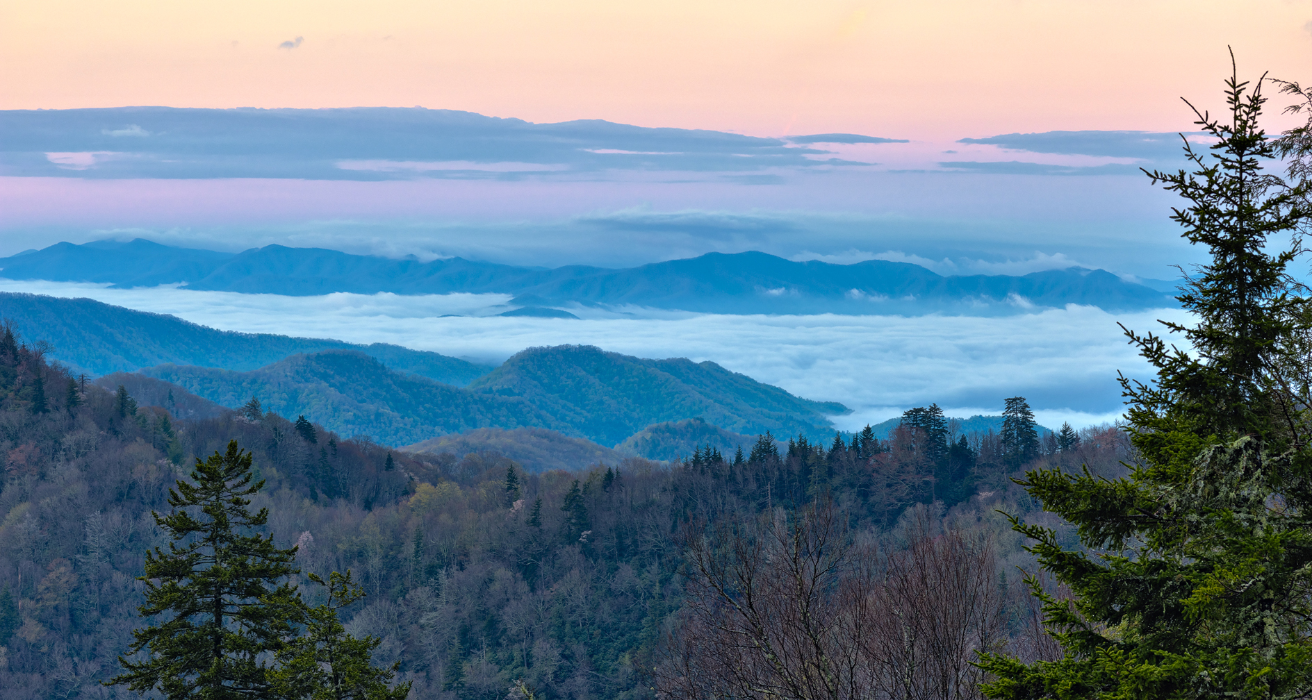 Floating on a Sea of Mist