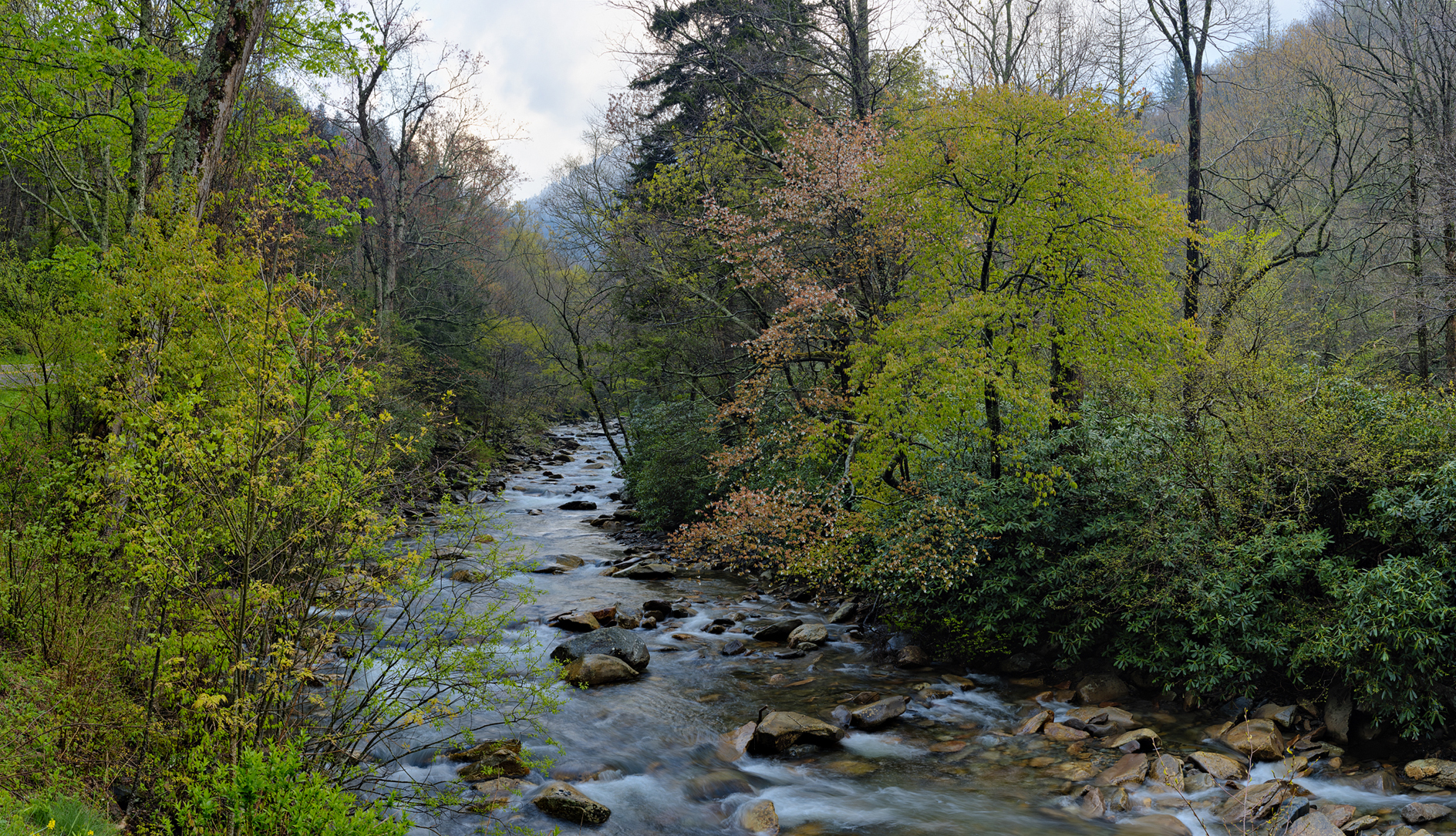 Flowing through Spring