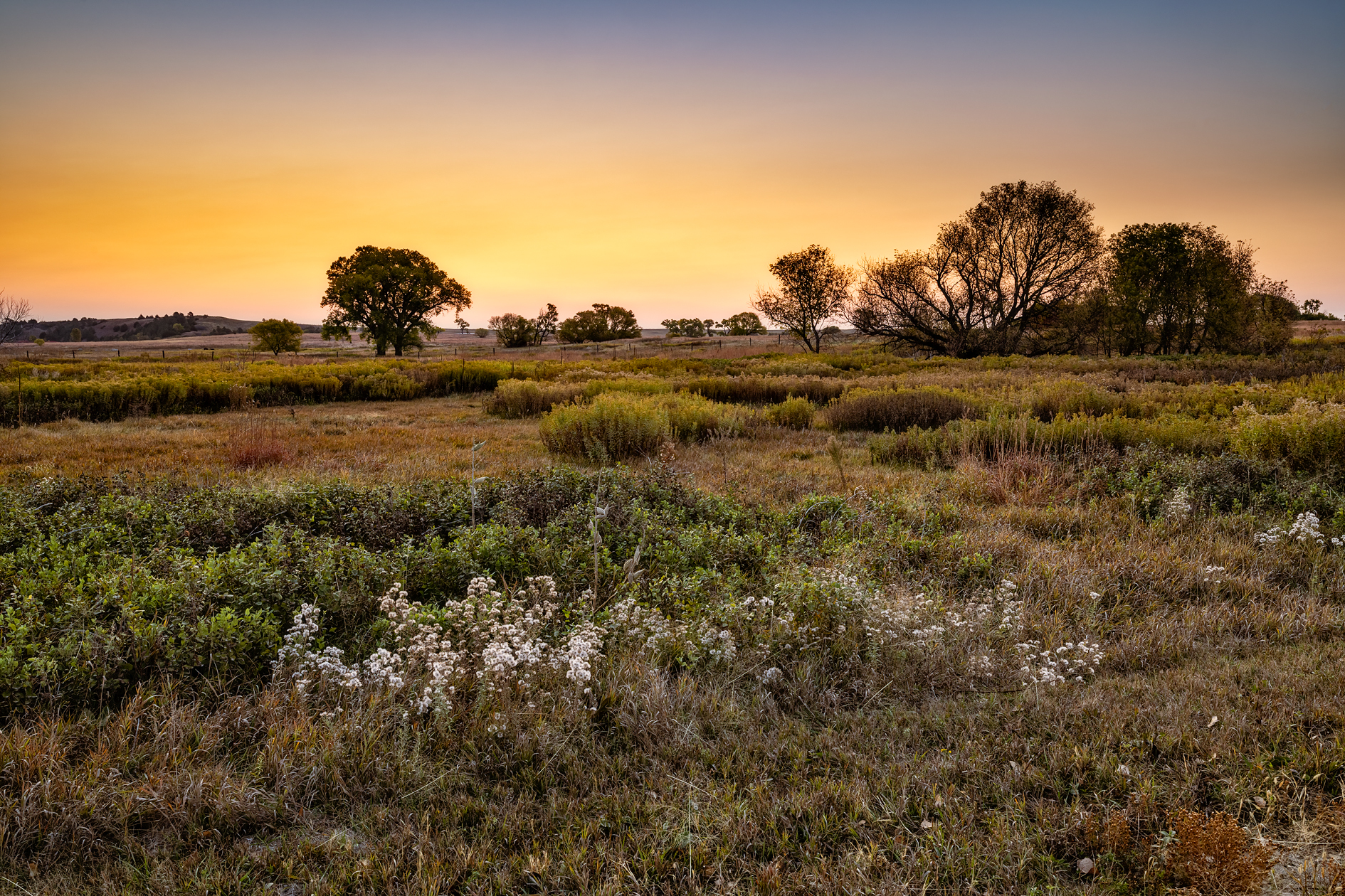 Fort Niobrara Morning II