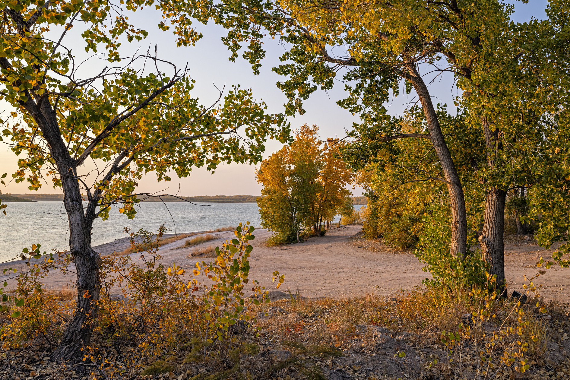 Frenchman Valley Autumn