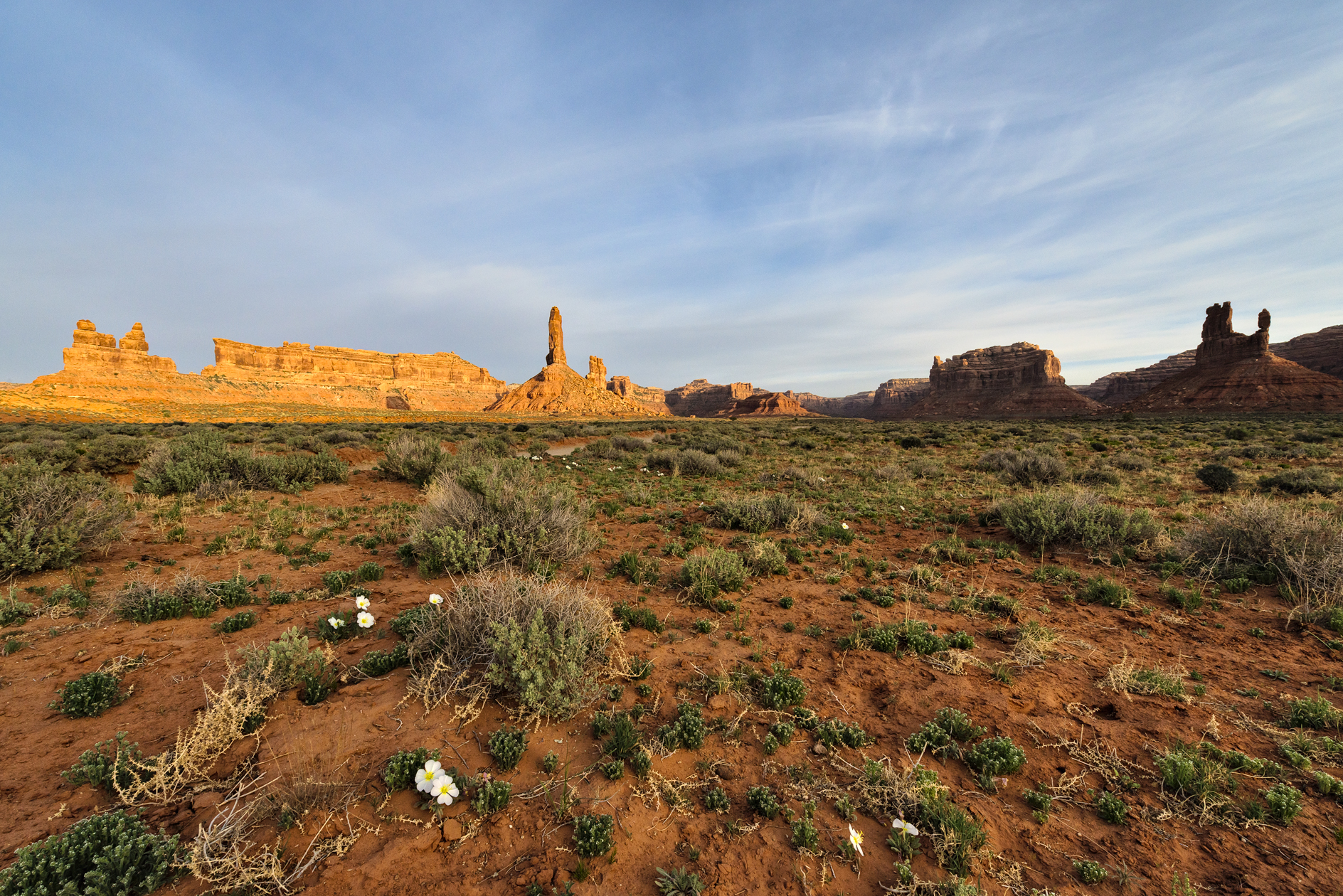 Fresh Eyes in the Morning