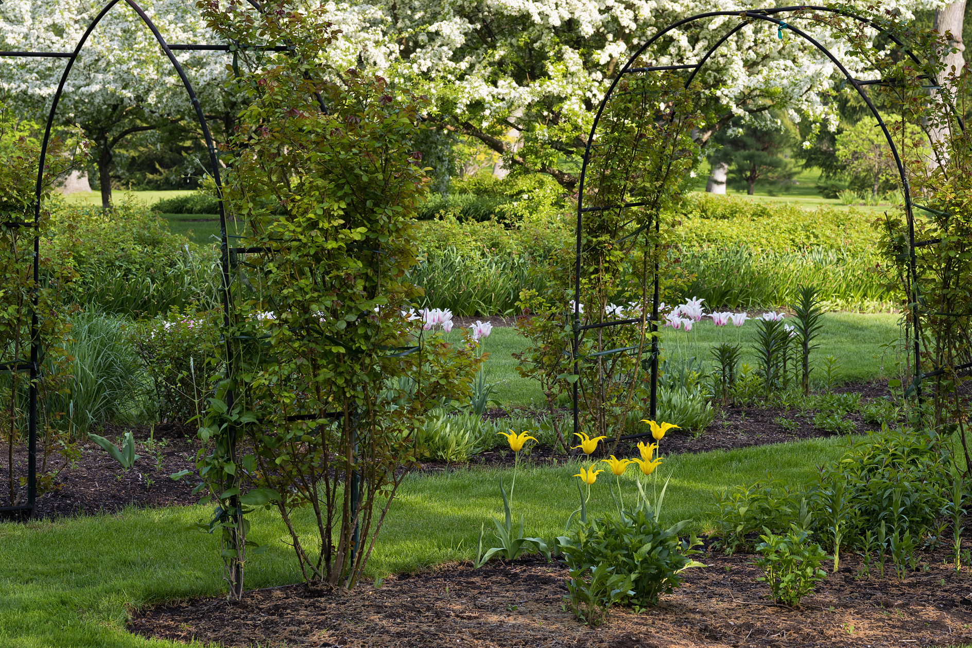 Friendly Competitors