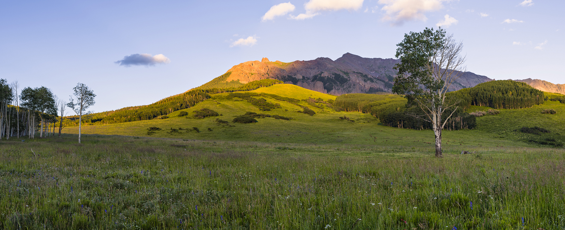 From Last Dollar Road