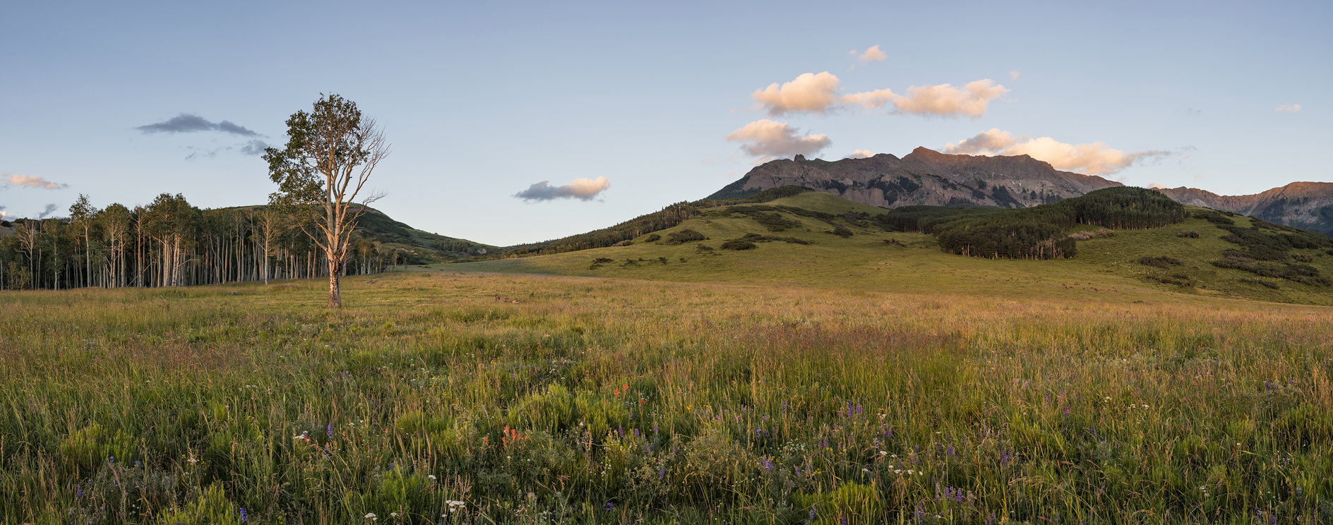 From Last Dollar Road II